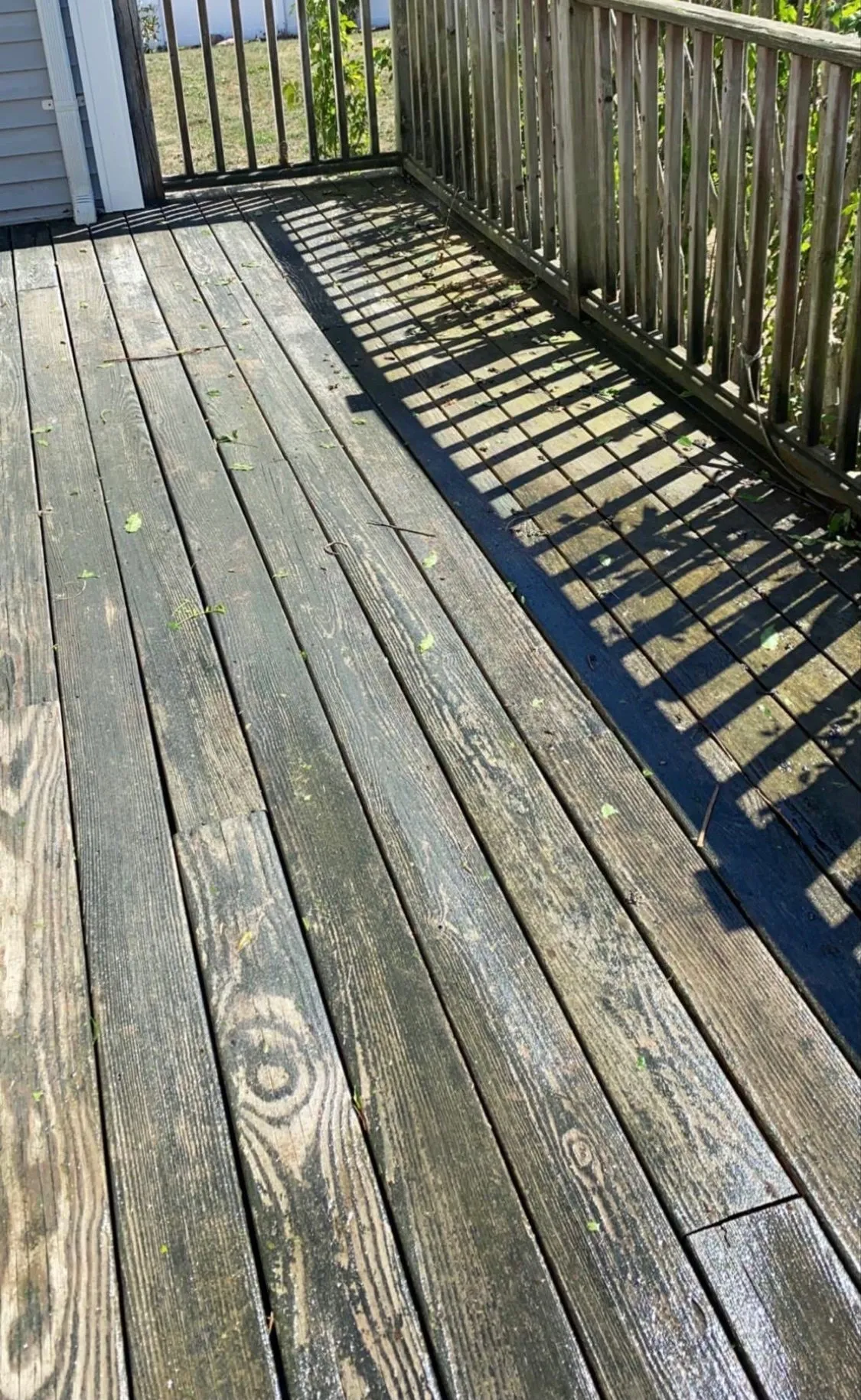 Project 2 — before