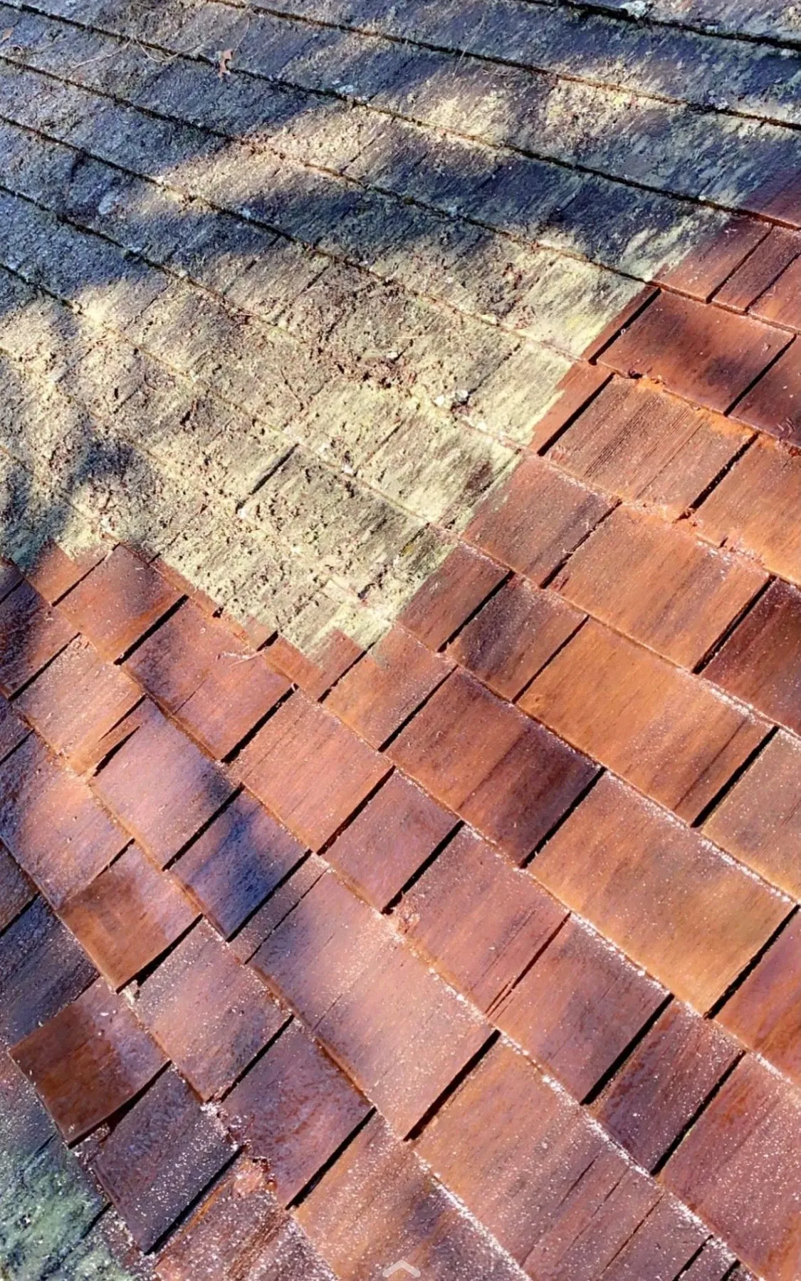 Moss Boss roof cleaning — Cedar · Half & Half