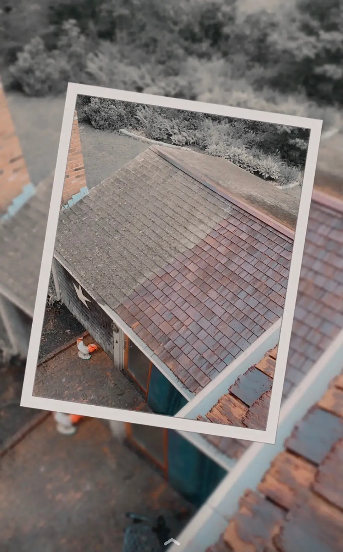 Moss Boss roof cleaning — Cedar · Mid-Wash