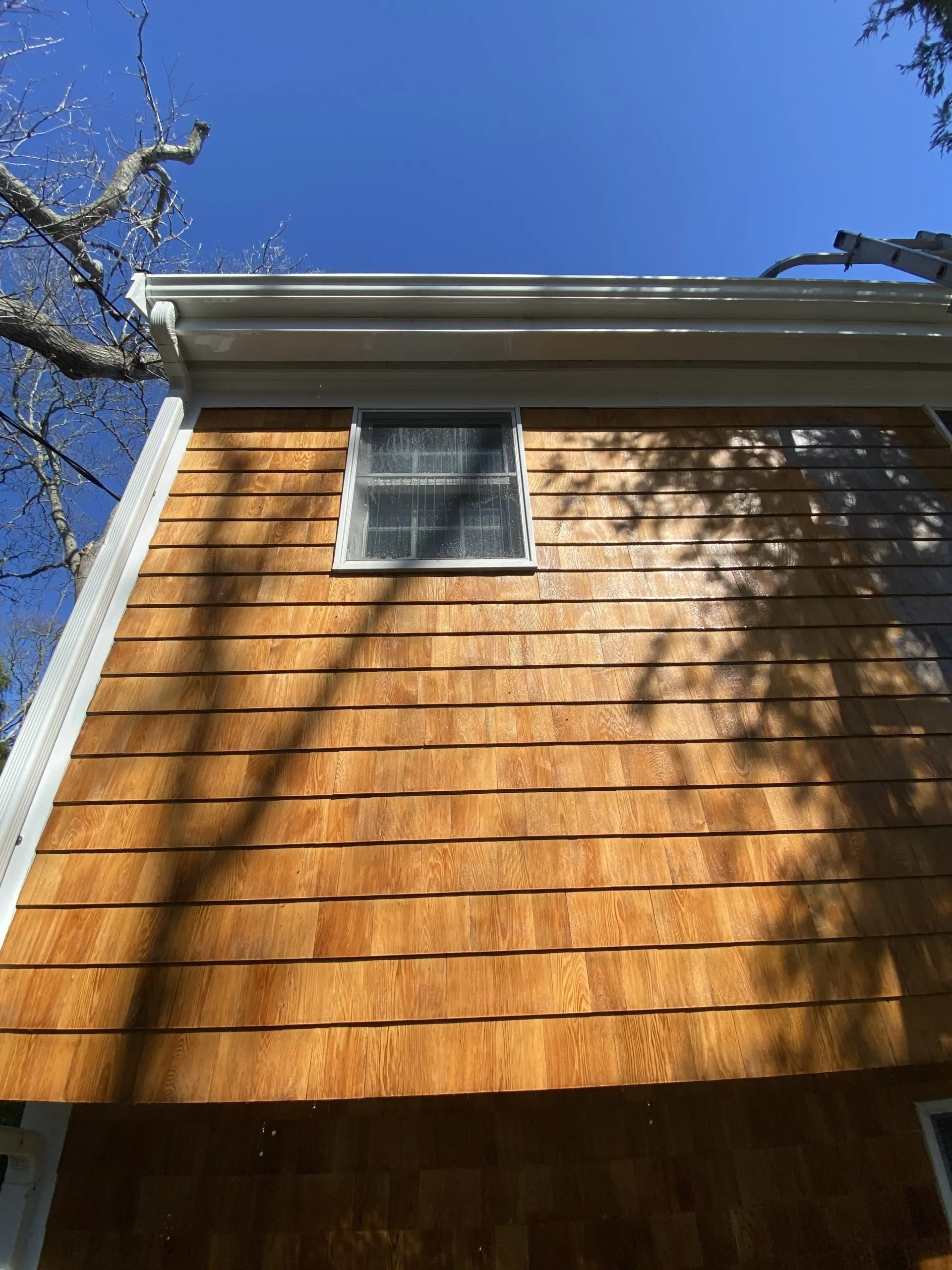 House detail after soft wash