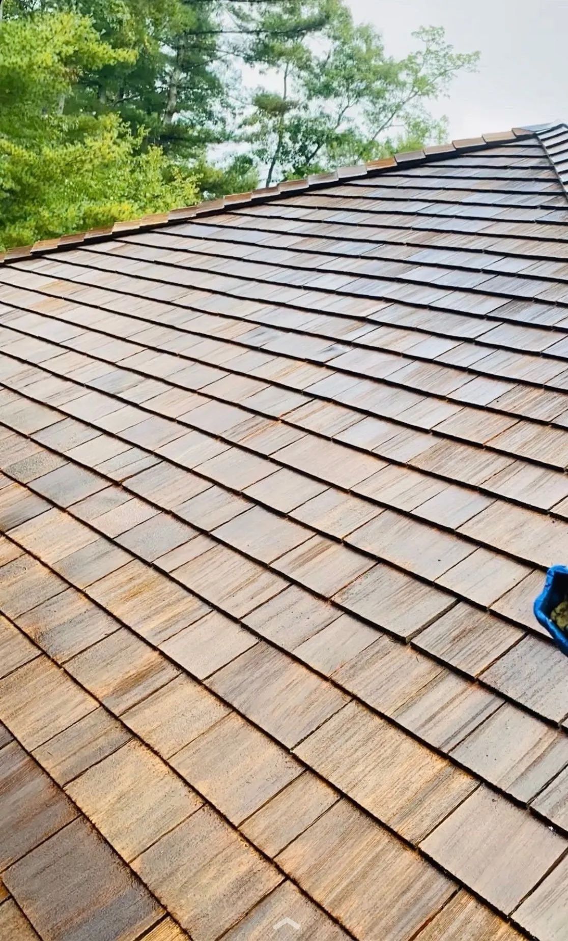 Cedar Triangle — after