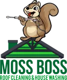 Moss Boss house washing — recent project 3