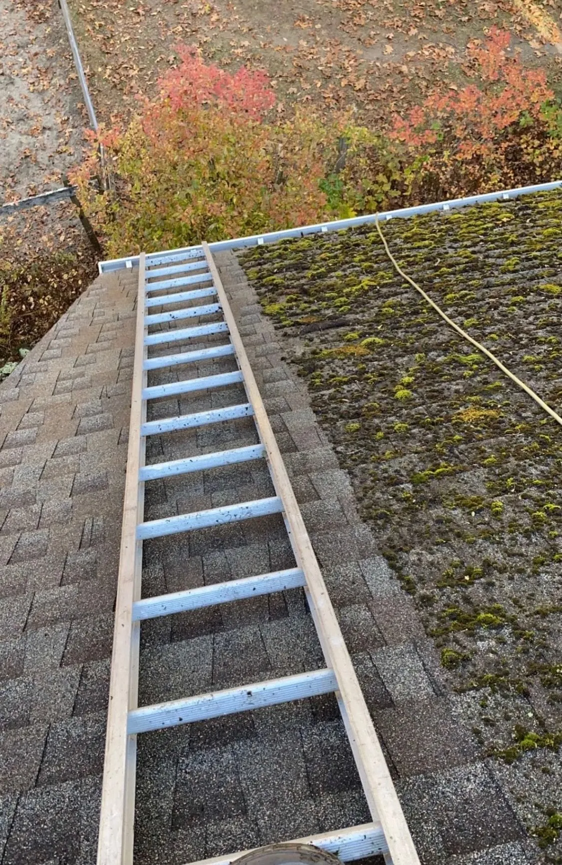 Moss Boss roof cleaning — Asphalt · Half & Half