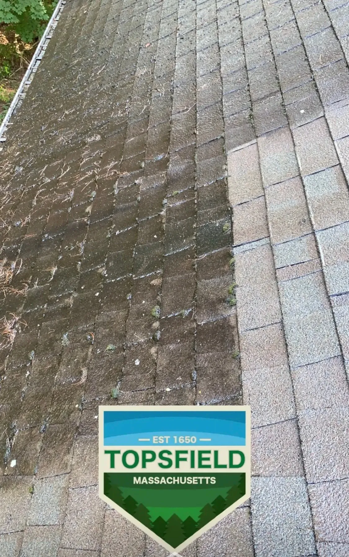 Moss Boss roof cleaning — Topsfield, MA